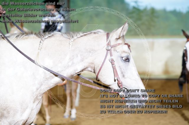s_K3F08973.JPG